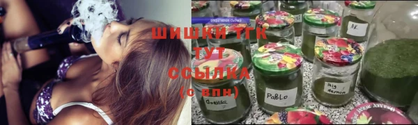 сатива Арсеньев