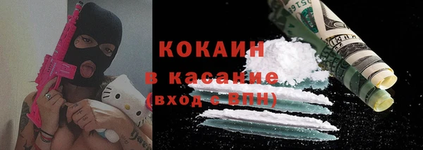 сатива Арсеньев