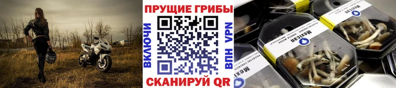 shop телеграм  Сольцы  Псилоцибиновые грибы прущие грибы  дарнет шоп 